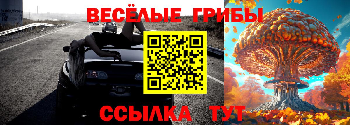 Шатура  Псилоцибиновые грибы мицелий  Вход с VPN 